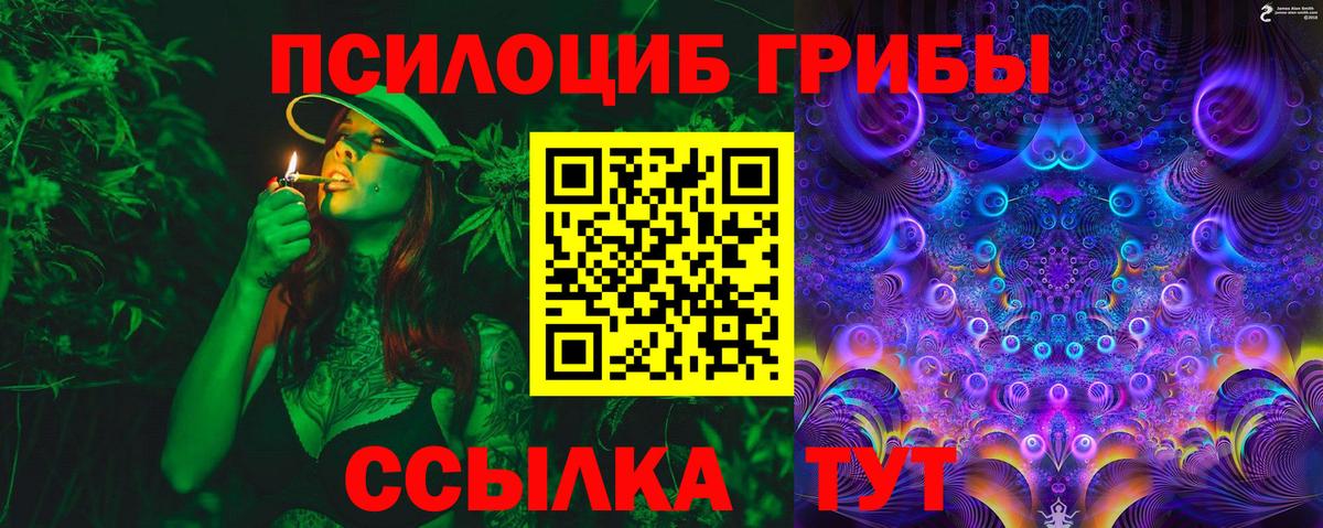 Бугуруслан  купить наркотик  Вход с VPN  Псилоцибиновые грибы MAGIC MUSHROOMS 
