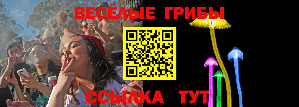 Псилоцибиновые грибы Psilocybe Бугуруслан